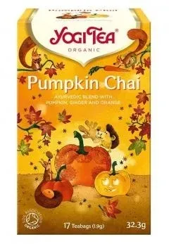 Ceai Eco Pumpkin Chai, 17pl, YogiTea