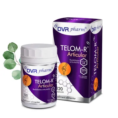 TELOM-R Articular, 120cps
