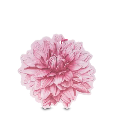 L'Erbolario Cartonas odorizant Shades of Dahlia, 1 bucata