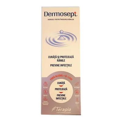 DERMOSEPT HYDROGEL SPRAY 250ML TERAPIA