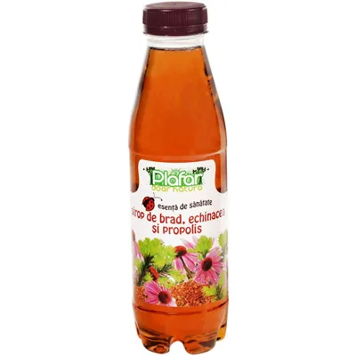 Sirop de muguri de brad, echinacea si propolis, 500ml, Plafar