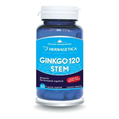 GINKGO 120 STEM CPS VEGETALE 60 CAPSULE HERBAGETICA