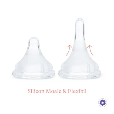 LANSINOH 76410 SET BIBEROANE 160ML + 240ML CU TETINA FLUX RAPID