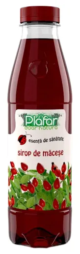 Sirop de macese, 500ml, Plafar