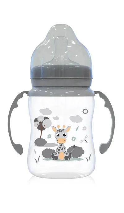 Biberon cu 2 manere si gat larg 0 luni+ Ice Grey, 250ml, Lorelli