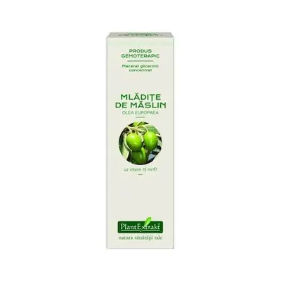 Extract concentrat din mladite de maslin, 15ml, PlantExtrakt