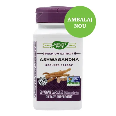 SECOM ASHWAGANDHA SE 500MG 60 CAPSULE