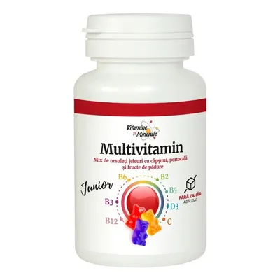 MULTIVITAMIN JUNIOR URSULETI CU FRUCTE 20 JELEURI DACIA PLANT