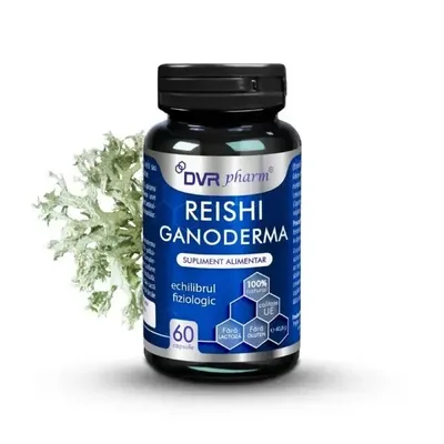 Reishi ganoderma, 60 capsule, DVR Pharm