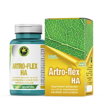 Artro Flex HA, 60 capsule, Hypericum